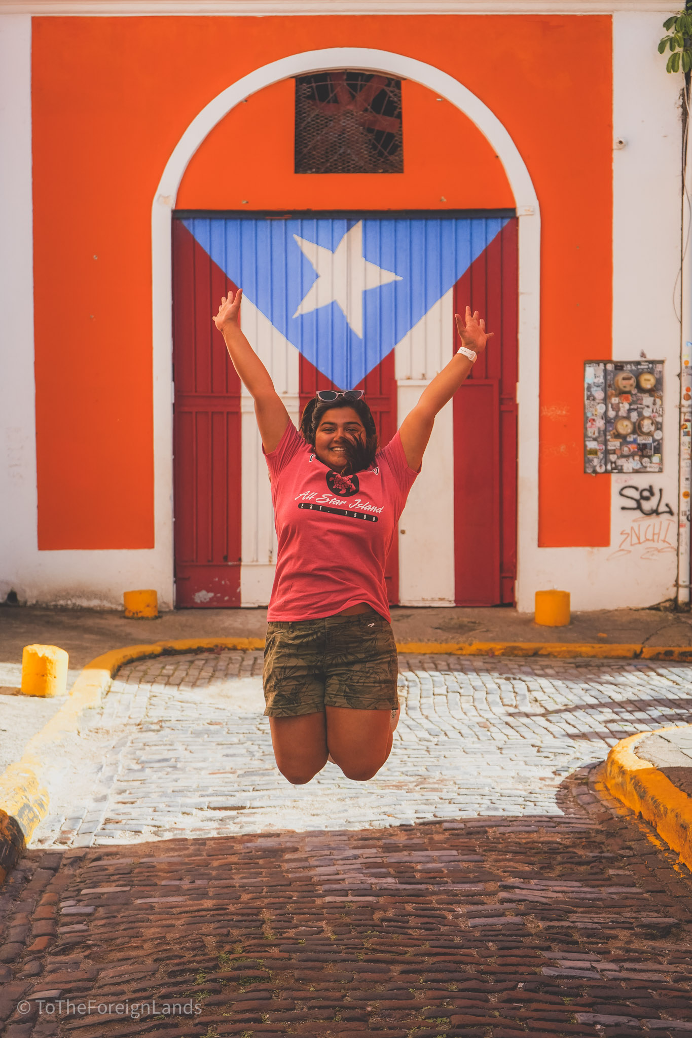 Puerto Rico Flag